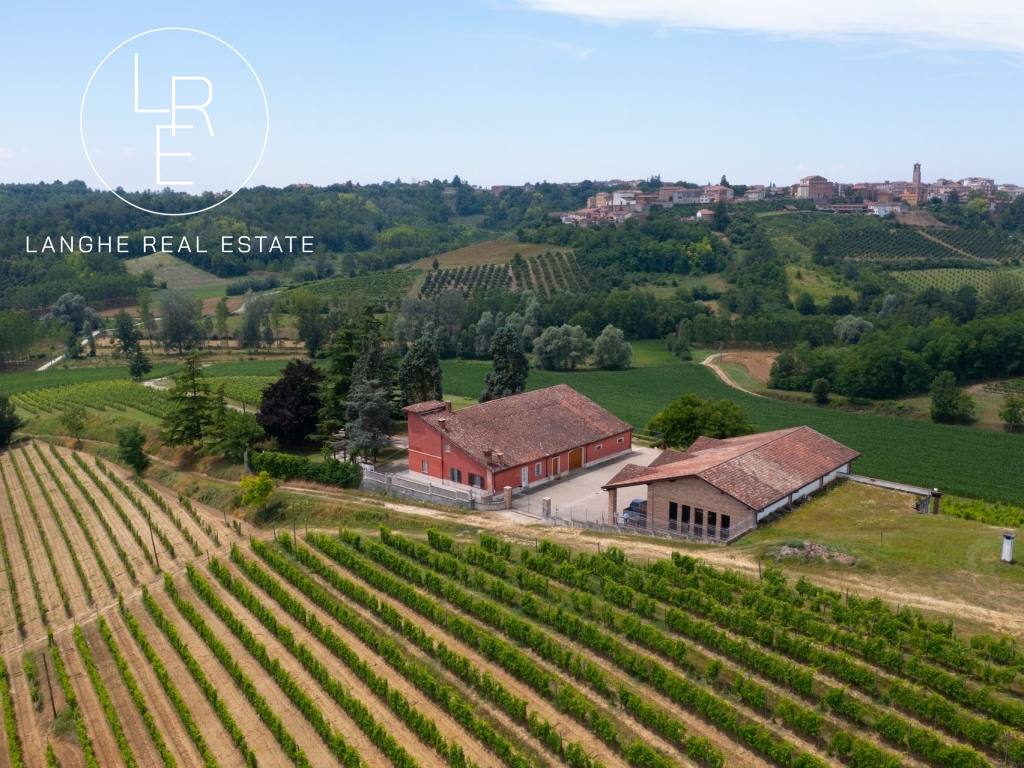 winery-for-sale-langhe-monferrato-2