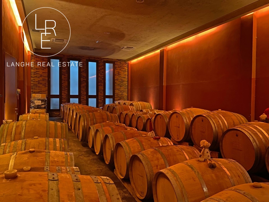 winery_wine_cellar_for_sale_langhe19