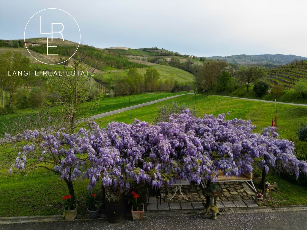 Langhe_panoramic_property_for_sale_with_land_3