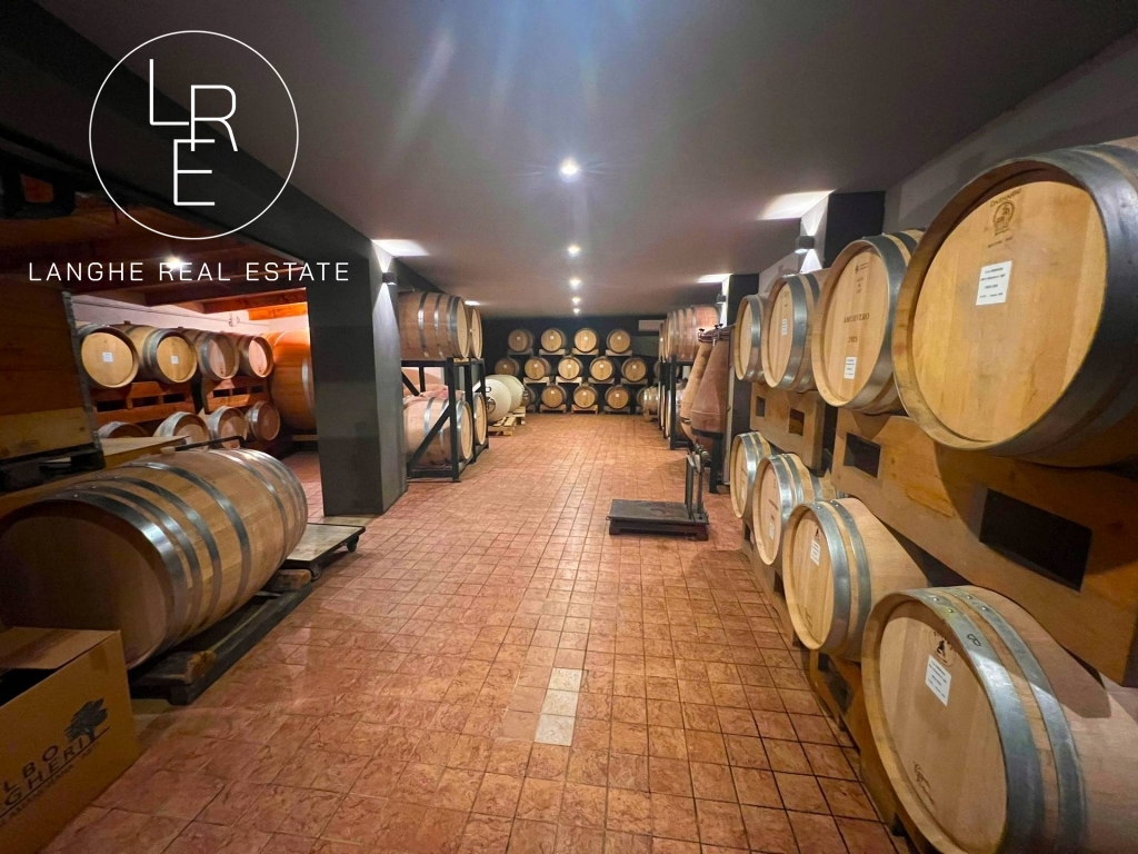 Vendesi cantina vitivinicola nel Monferrato